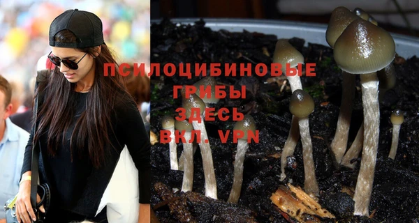 ПСИЛОЦИБИНОВЫЕ ГРИБЫ Вязьма